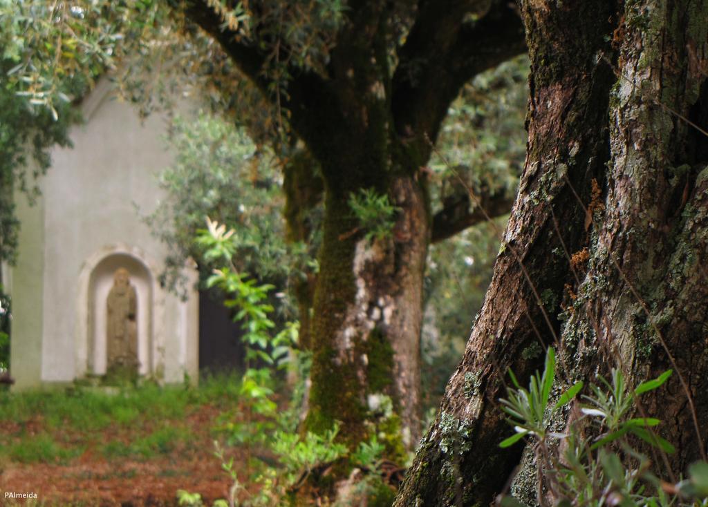 Quinta Do Cerquito Villa Ferreira do Zezere Exterior photo